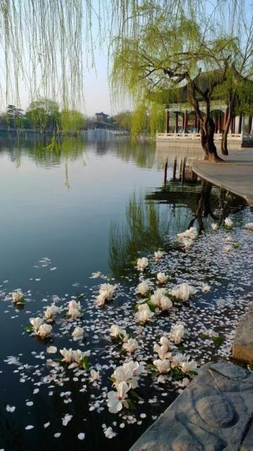 惠州之游即興詩：四月西湖如畫，古塔見證歲月#惠州旅游# #詩歌欣賞#
