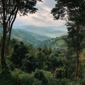 探索西雙版納:完美旅行指南及必游景點推薦