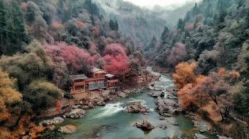 四川北部明珠:廣元的獨特魅力與美食美景之旅