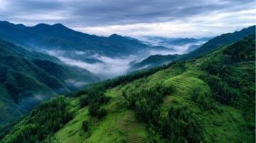 皖地風光探秘記:詩意山水與人文之旅