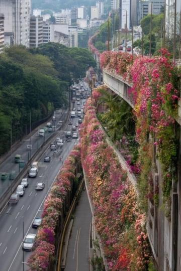 福州最美懸空步道,市民必訪景點攻略