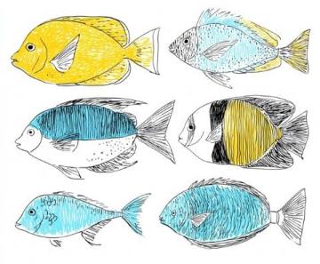一直以來，家里老人最喜歡的海魚當屬黃翅魚,有野生，有養殖，價格不一樣