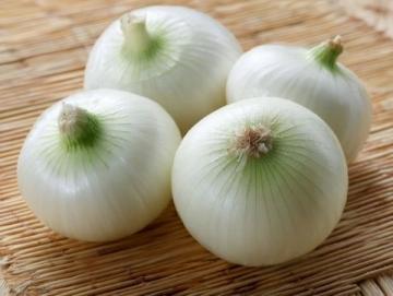 蒸茴香助老年人解決通便難題