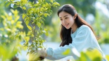 廈門春游攻略:賞花、文化探索與潮流體驗,一網打盡!
