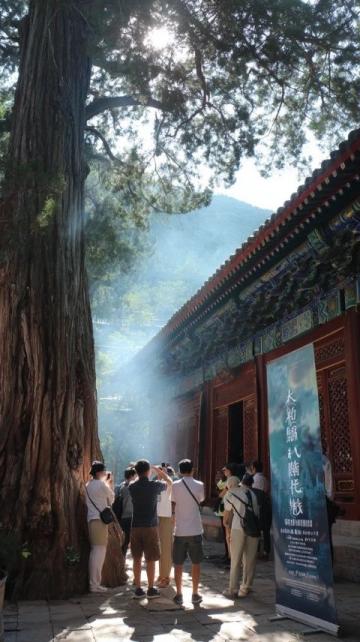 昆明四日游記：賞紅嘴鷗、探石林奇觀，品嘗地道云南美食