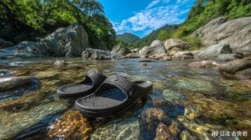 麗水:水質優良的溪魚天堂,華東野生魚類基因庫