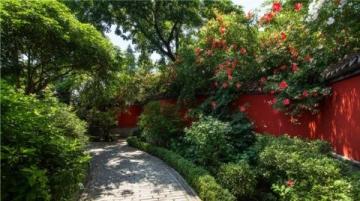 濰坊高密南湖植物園——城市綠洲的詩(shī)意棲居**