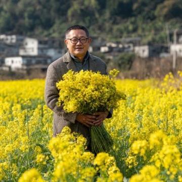 漢中市油菜花一日游攻略:梯田湖光山色美景全體驗