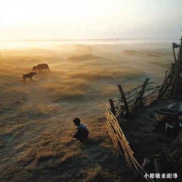 2019年南寧全城的扁桃欠收，于是整座城市缺少了一年一度的雨果節