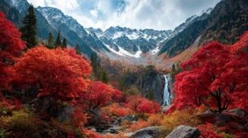 九寨溝旅游攻略詳解指南