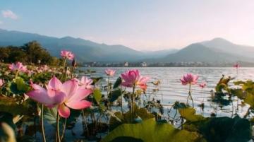 五一游洋沙湖感覺挺好的,人少景也美
