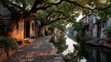 夏日打卡季:探秘華北明珠白洋淀,體驗北方水鄉(xiāng)生態(tài)人文之旅