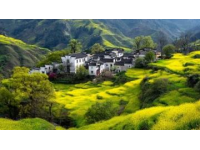 我在頭條曬家鄉 這個話題真好,我的家鄉是山東泗水的小山村。有古老歷史文化、五谷雜糧和長壽的老人……".