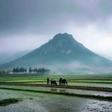 探索潛江之美：湖北之旅指南