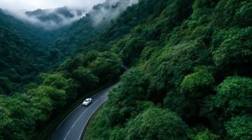 西雙版納旅游攻略:熱帶雨林與傣族文化的完美結合