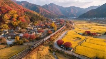 遼寧地區適合摩旅的10條小眾寶藏路線規劃,結合自然風光、人文體驗及當地特色美食推
