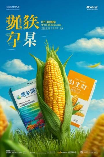 新會(huì)區(qū)有什么特色小吃?新會(huì)區(qū)美食探店
