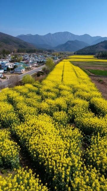 2025五一懷柔游玩指南：暢享交通、食宿與特色之旅