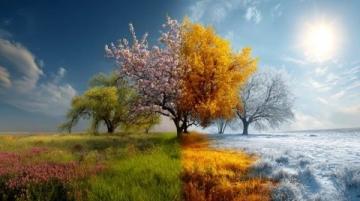 四季幽情詞牌組詩:春探夏懷秋思冬嘆