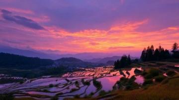 云南元陽梯田深度游攻略