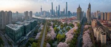 春節(jié)反向旅行：上海自駕游潮汕指南