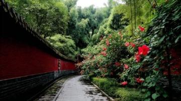 東莞石排鎮之旅