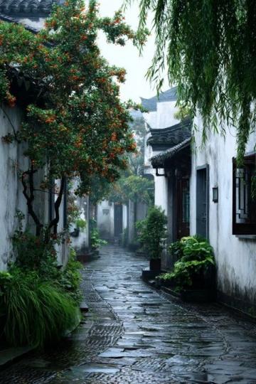 探尋江南之秘境:路南邂逅南潯古鎮