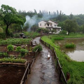 臺山市四九鎮(zhèn)鰍魚角溯溪泡潭，食黑豆鰍魚湯黃鱔飯：一游四九鎮(zhèn)鰍魚角的美麗水潭