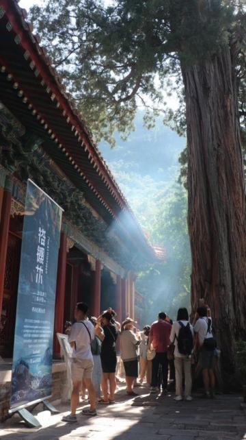 千年古剎天童禪寺：太白山麓的佛教圣地