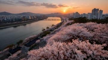 2025年必去的五大春季旅行勝地，跟隨榜單開(kāi)啟新體驗(yàn)