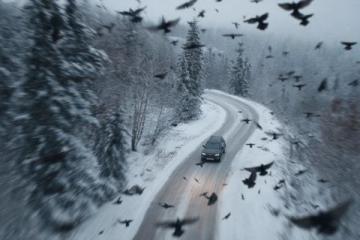 冬季雪天行車安全指南:全面準備與駕駛技巧須知
