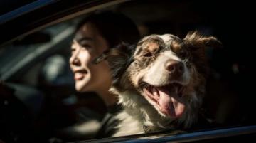 提車不過幾日,嵐圖就邀請我參加燒烤,這波寵粉必須給個贊