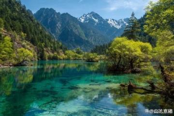 夏日云南之旅：花茶與美景的完美邂逅旅行指南