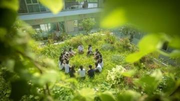 巴州區興文小學校園農場種蔬菜，校門口擺攤搞義賣