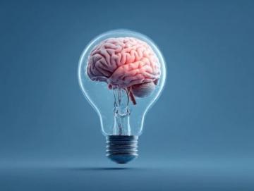 如何從知識搬運工轉變為認知重塑者？解決學習低效難題