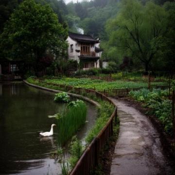 浙西南山區(qū)的詩意棲居地——松陽