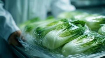 南沙生活體驗:百元購大袋新鮮蔬菜不再是難題