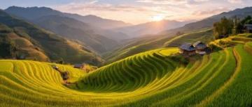 農文旅融合有哪些發展模式(農產品文旅融合,基礎模式有哪些?)