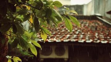 煙雨江南，味蕾飄香