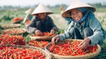 探索中國香腸魅力:一位女人的狂熱與扶貧達人的使命