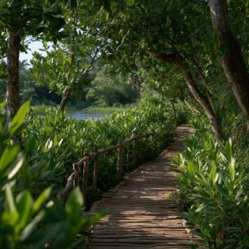 早就聽聞東莞麻涌的華陽湖濕地公園美不勝收，終于在這個周末，我開著我的16款軒逸