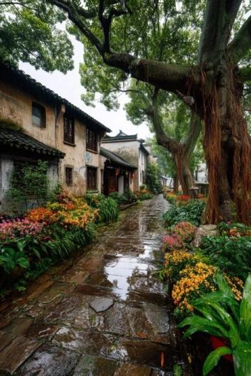 貴州畢節(jié)清晨美景:老城區(qū)里的生機(jī)與寧?kù)o