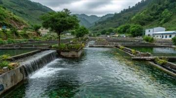 一日游貴州黃果樹瀑布：深度解析旅行指南