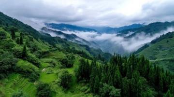 盛夏金鼎山旅游觀光盛宴:非遺打鐵花秀美食狂歡