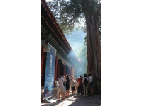 千年古剎天童禪寺：太白山麓的佛教圣地