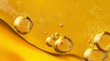 大商所推動棕櫚油期貨國際化業務深度融合