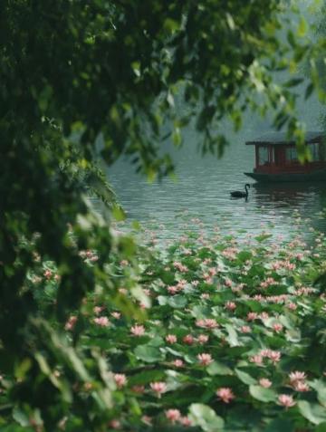 濰坊高密南湖植物園——城市綠洲的詩(shī)意棲居**