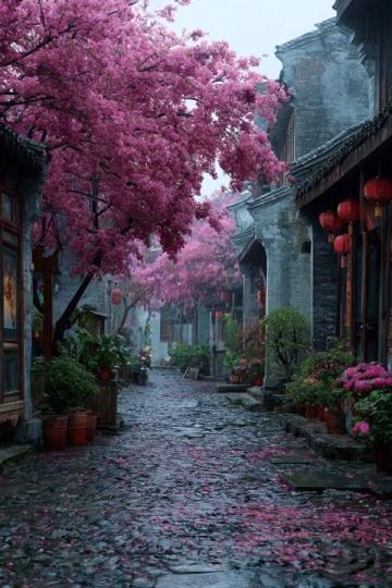 三亞之旅:十天內(nèi)發(fā)現(xiàn)景區(qū)冷清與變化