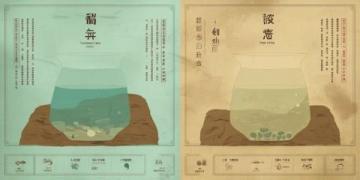 揭秘理工科確定性：中國傳統科技知識的半殖民地化與教育缺失