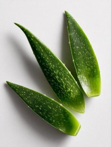 五種創意食譜解鎖蘆薈的美味與營養